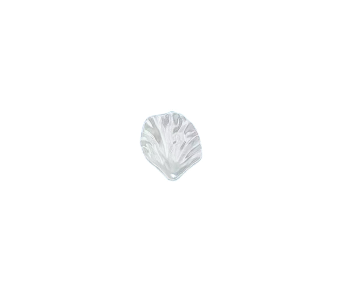 Coquillage blanc