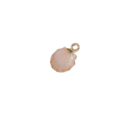 Coquillage