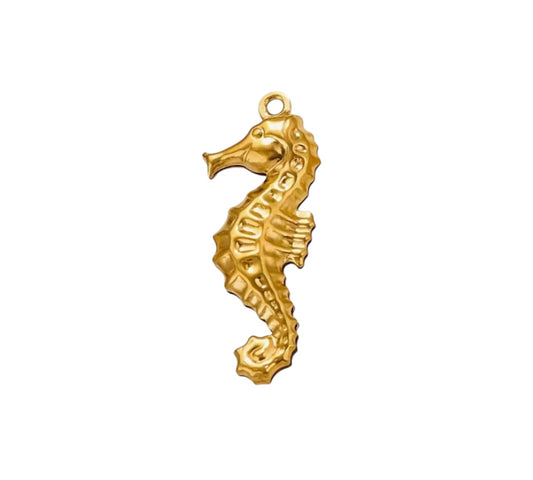 Hippocampe