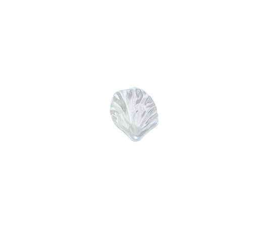 Coquillage blanc