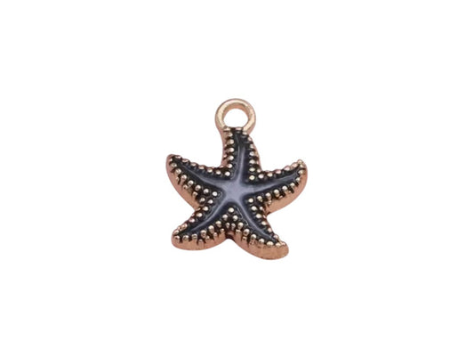Étoile de mer noire