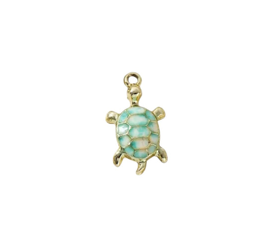 Tortue bleue