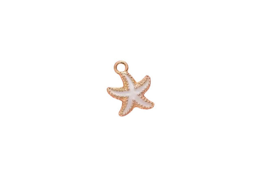Étoile de mer blanche